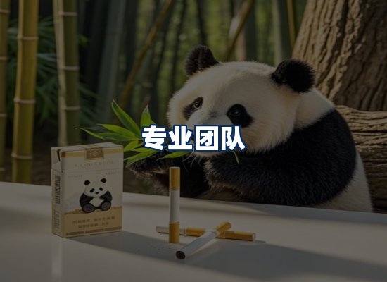 专业团队